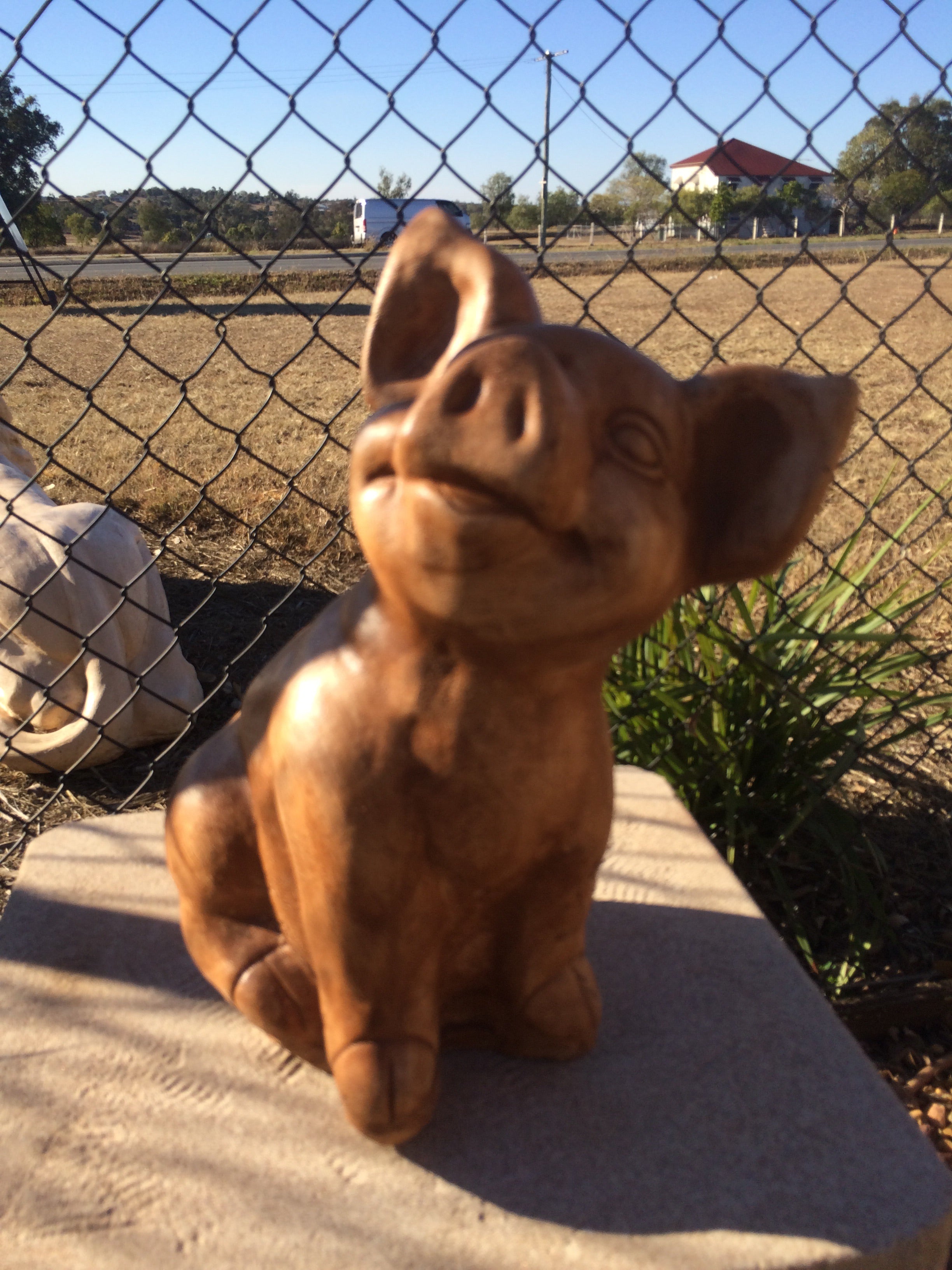 Pig statue