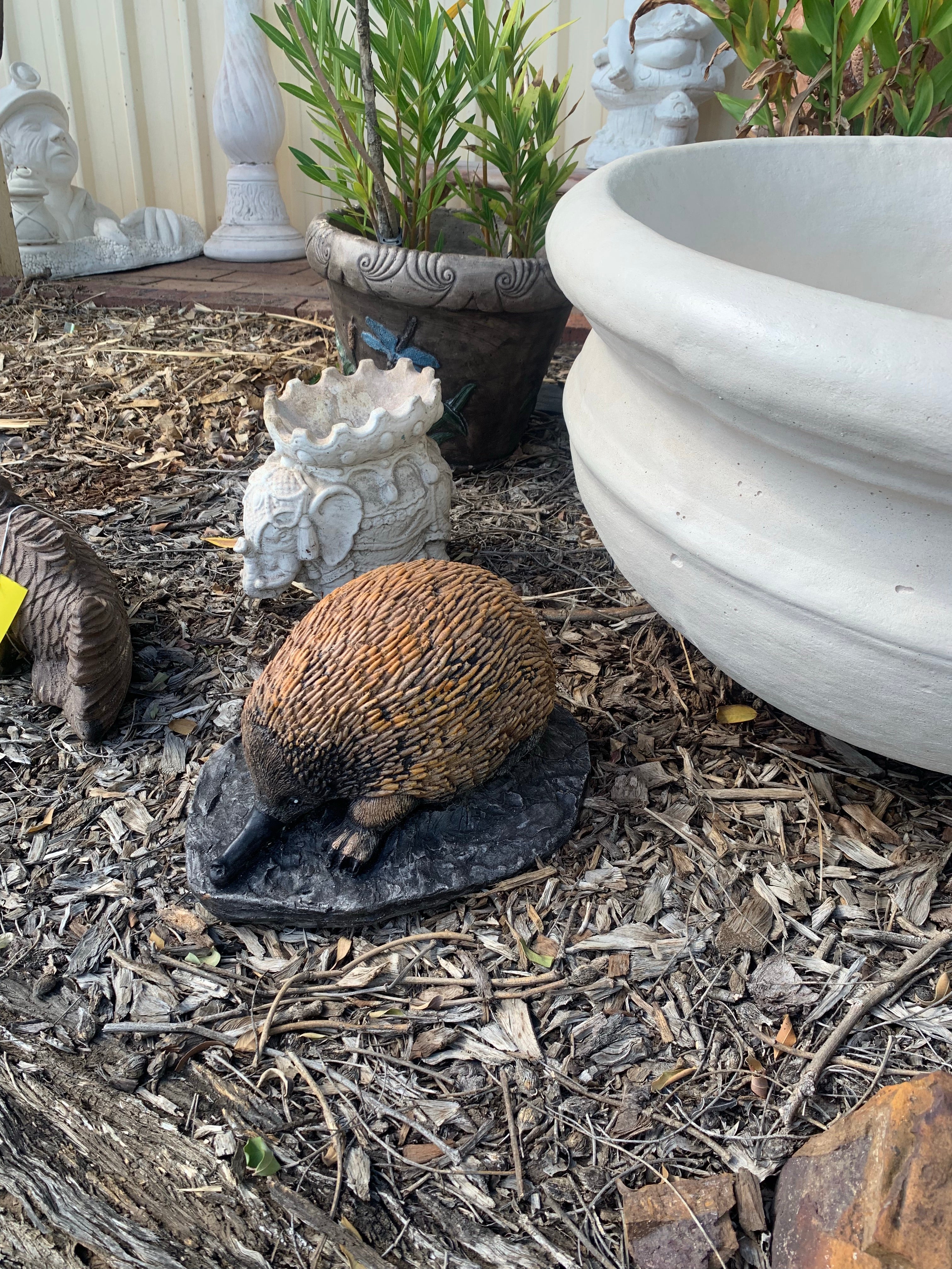 Echidna statue