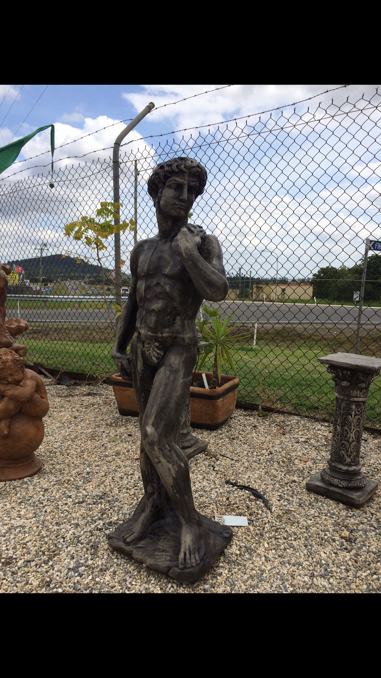 Large David statue